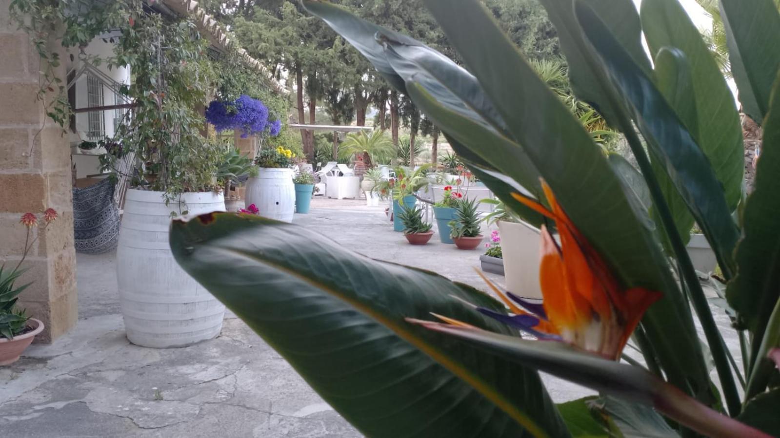 A Lumia Villa Noto Exterior photo